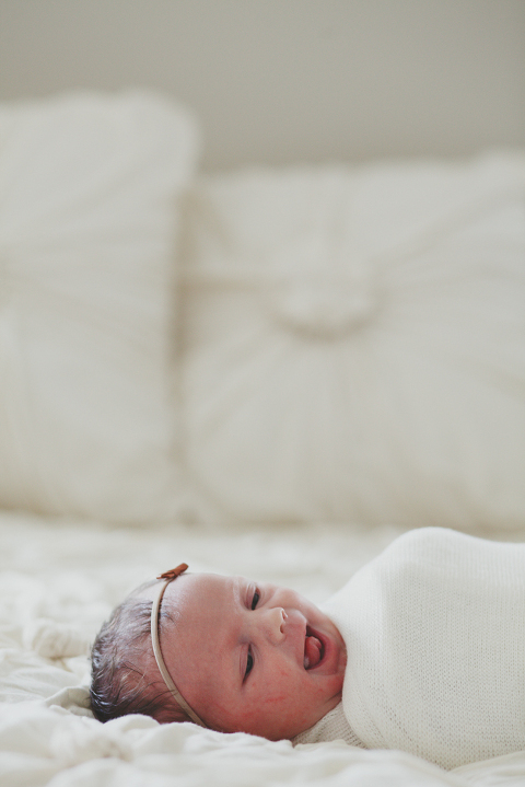 WildeFamily2016-6155